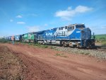 RUMO 9877